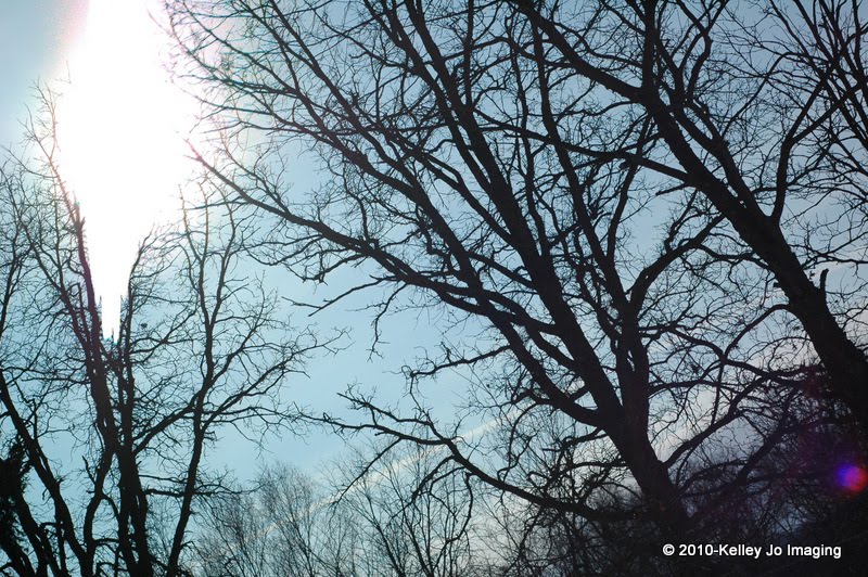 [02.12.10_KJK_0048.jpg]