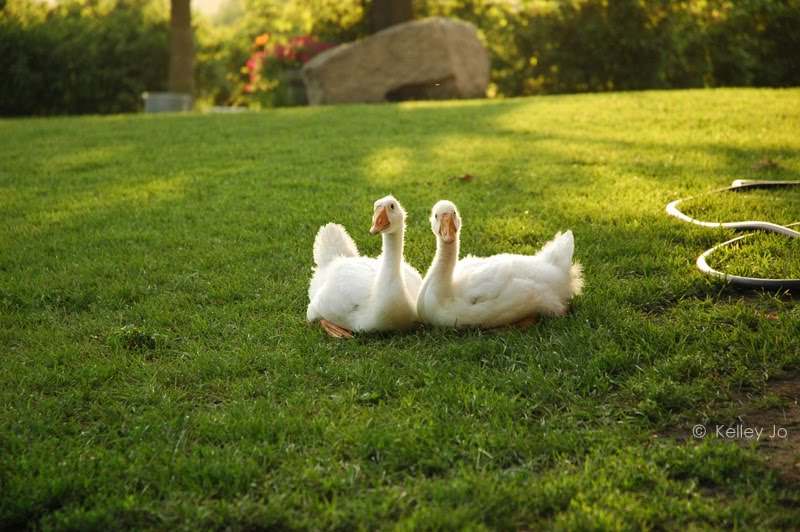 [07.24.08_KJK_0004.jpg]