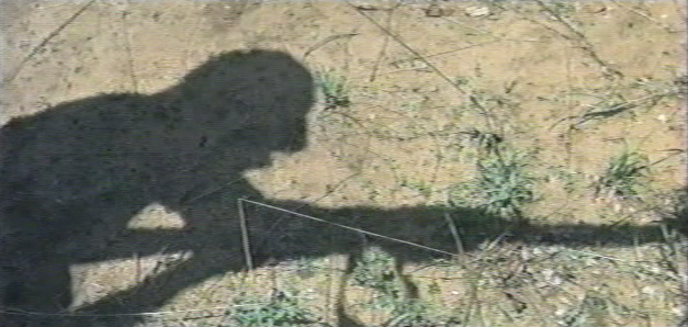 [shadow]