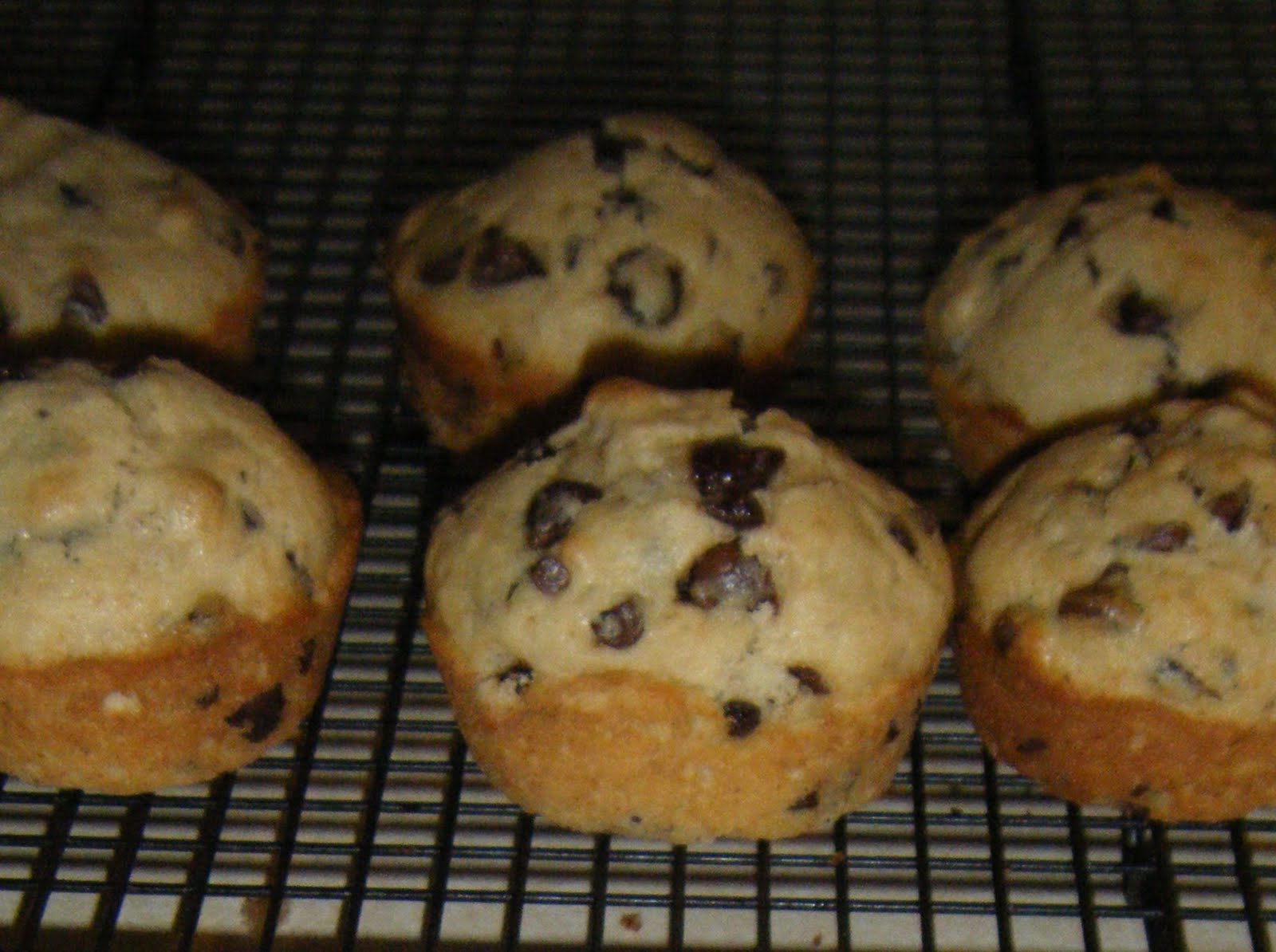 [2010_0117(ChocolateChipCookieMuffins).JPG]