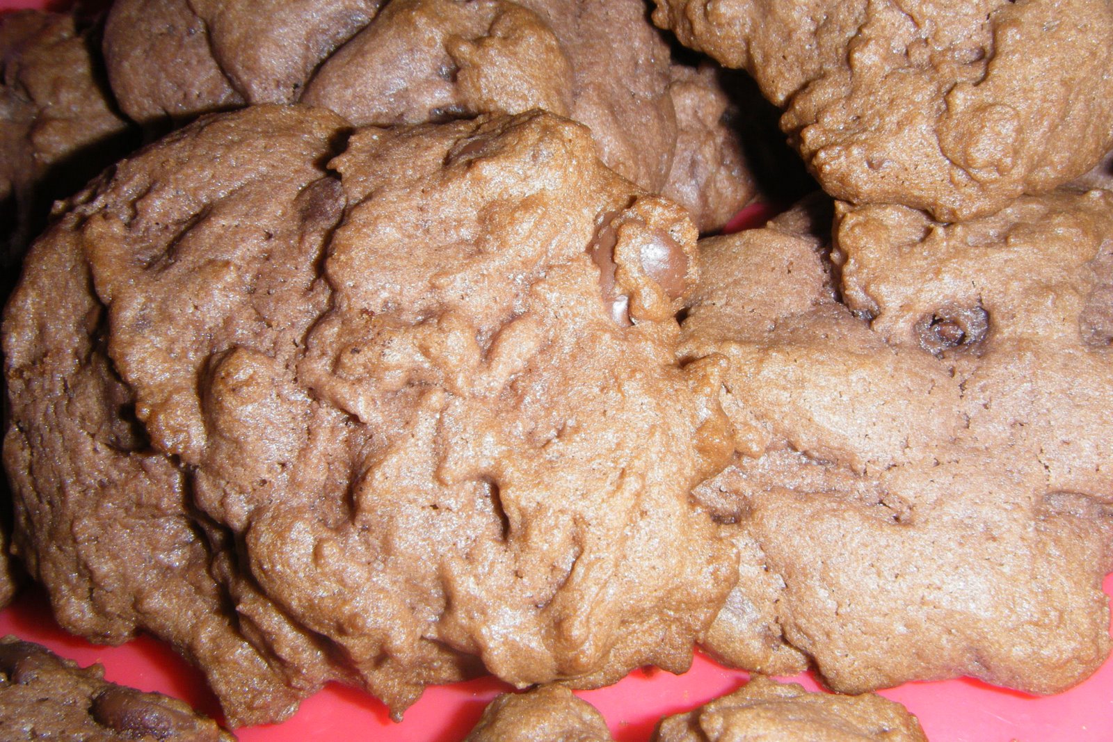 [2009_0217(001).JPG]