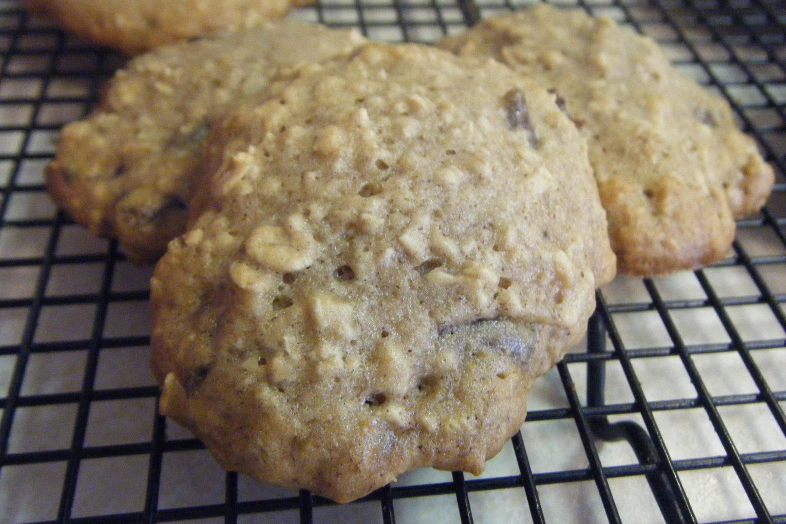 [2009_0715(BananaOatmealChocolateChipCookies).JPG]