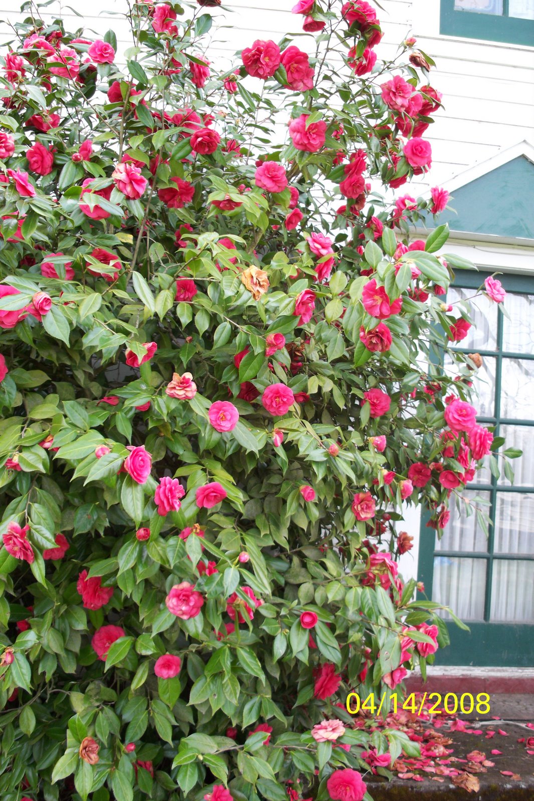 [import+41408+070.JPG]