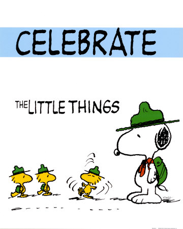 [charles-schulz-peanuts-celebrate-the-little-things.jpg]