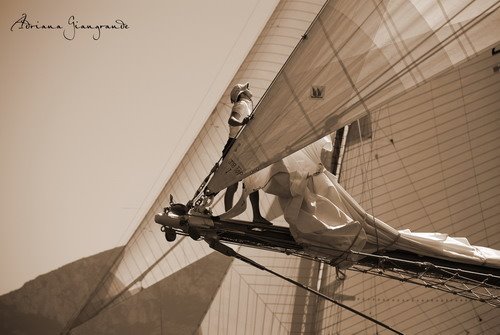 [DSC_0454+copia.jpg]