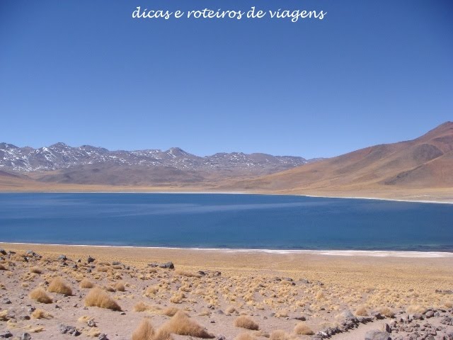 [laguna+miscanti+01.JPG]