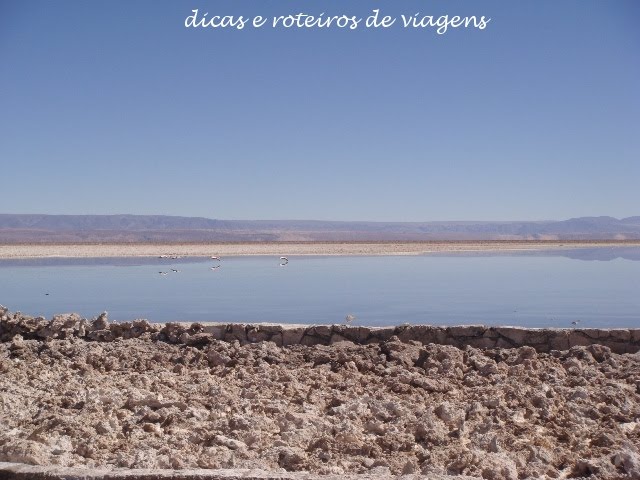 [Laguna+Chaxa+03.JPG]