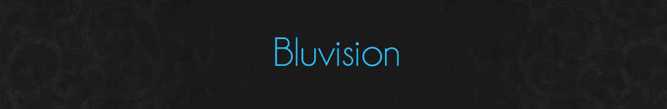 Bluvision Media Blog:: Kansas City Multimedia Services - HD Video Production, Photography, Web