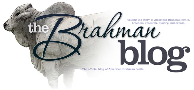 Brahman Blog