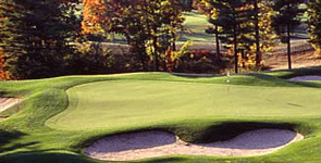 [golf.gif]