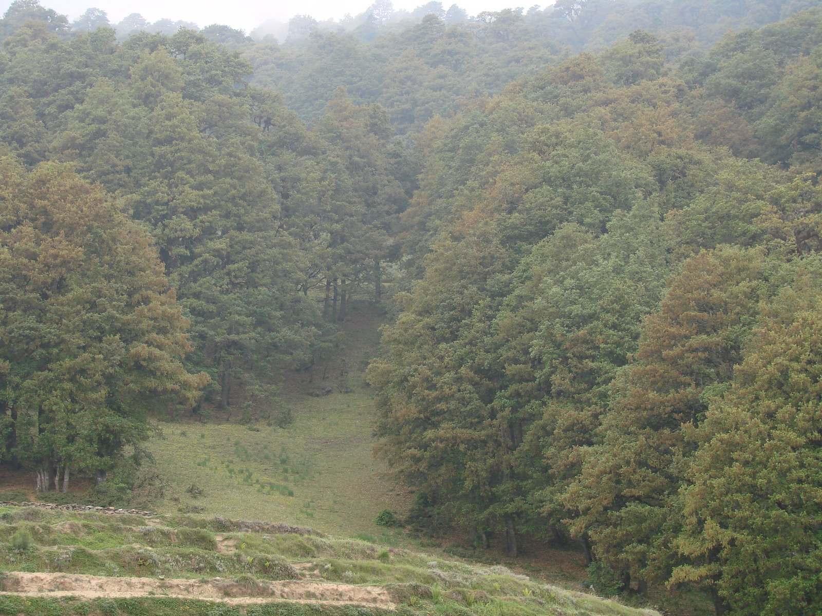 [DSC00205.JPG]
