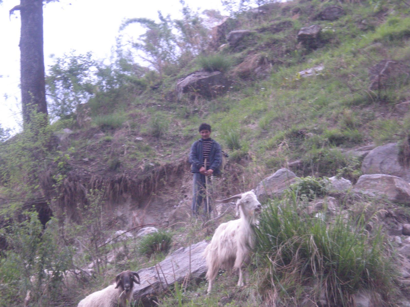 [DSCN0793.JPG]