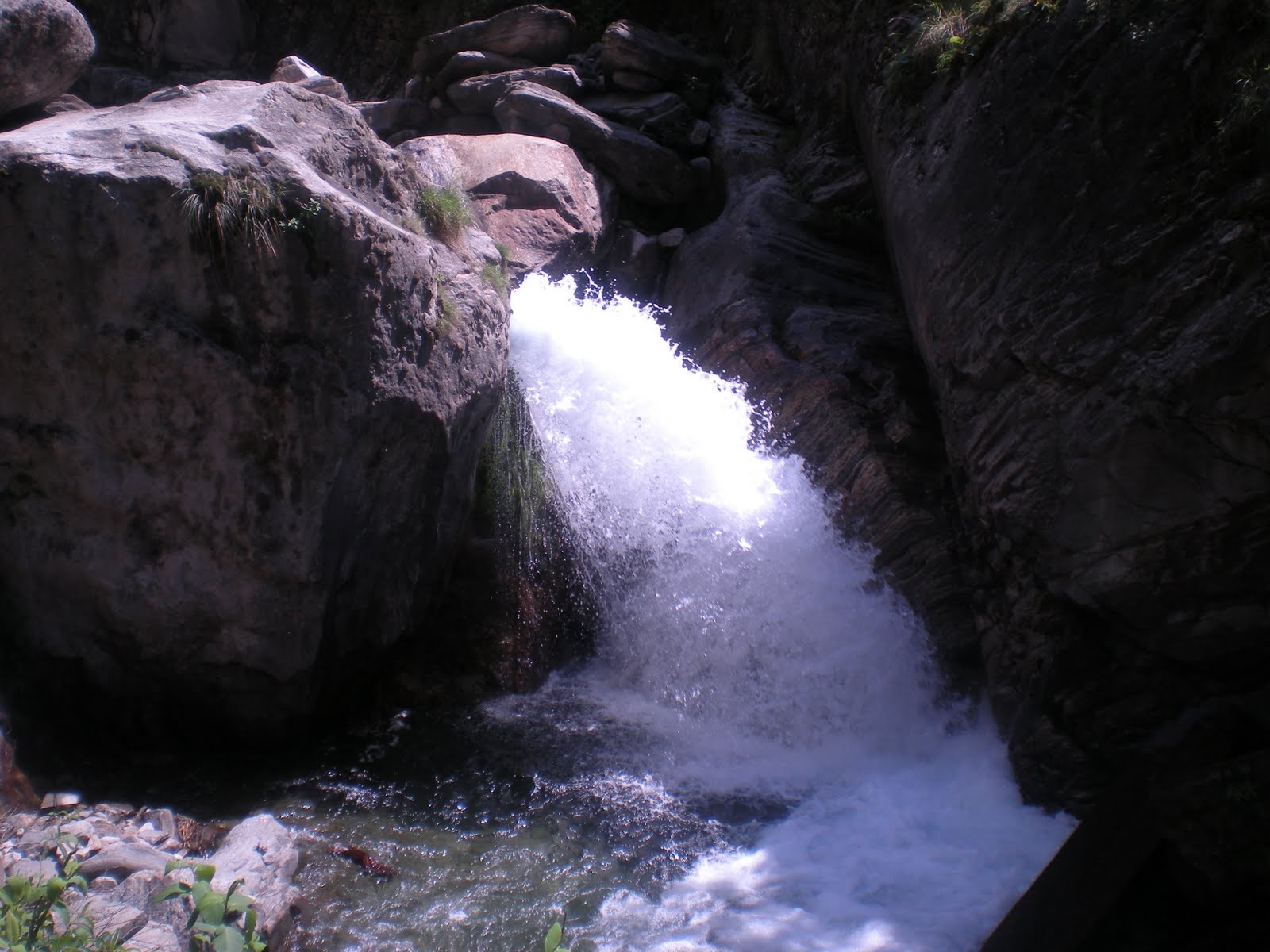 [DSCN0831.JPG]