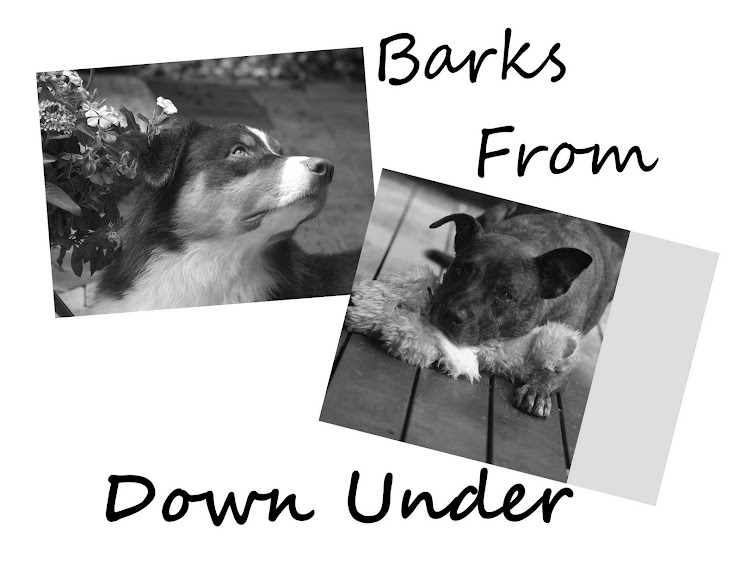Barks From Down Under