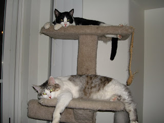 Ivan and Boo