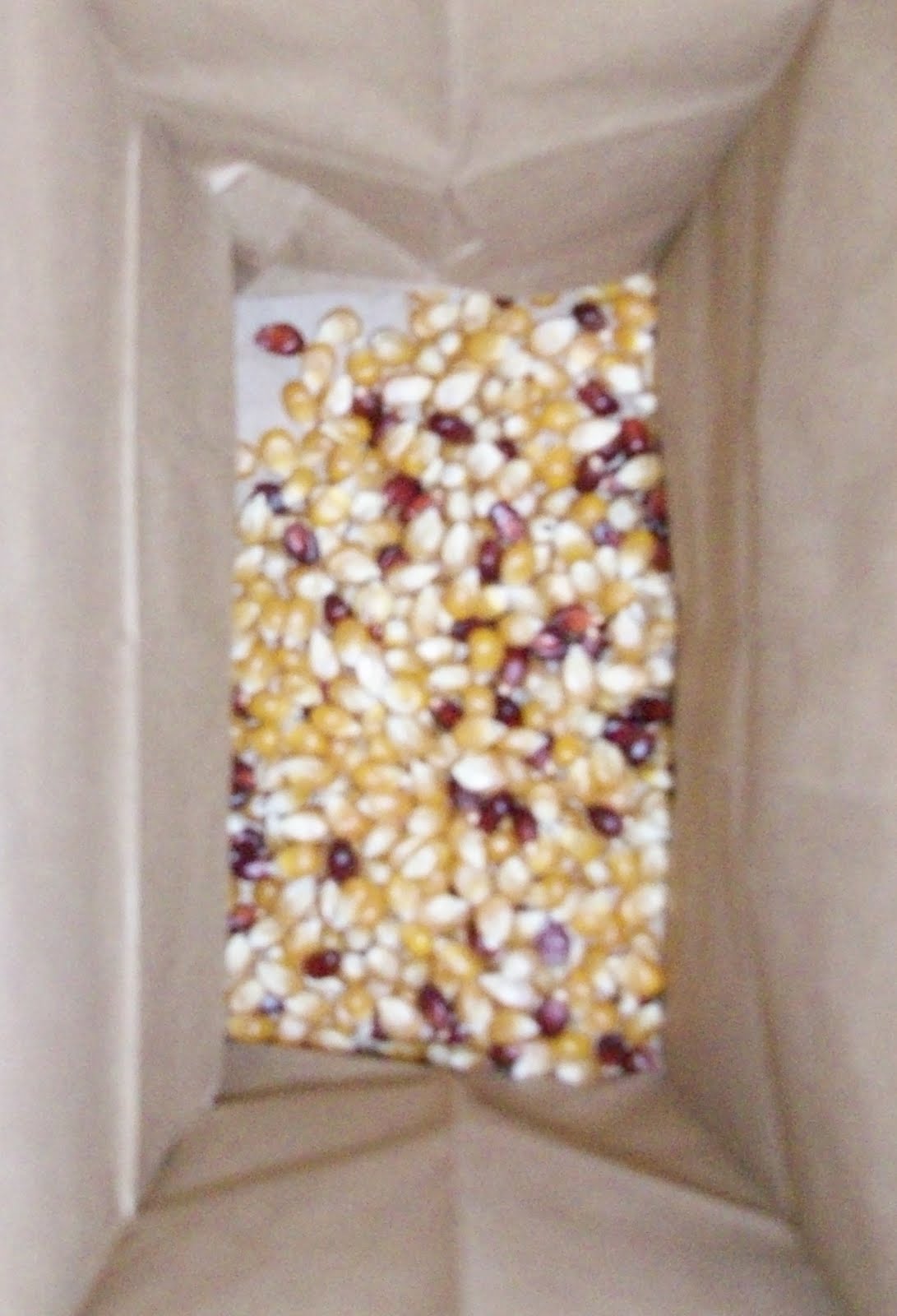 Homestead Roots Homemade Microwavable Popcorn with a brown paper bag