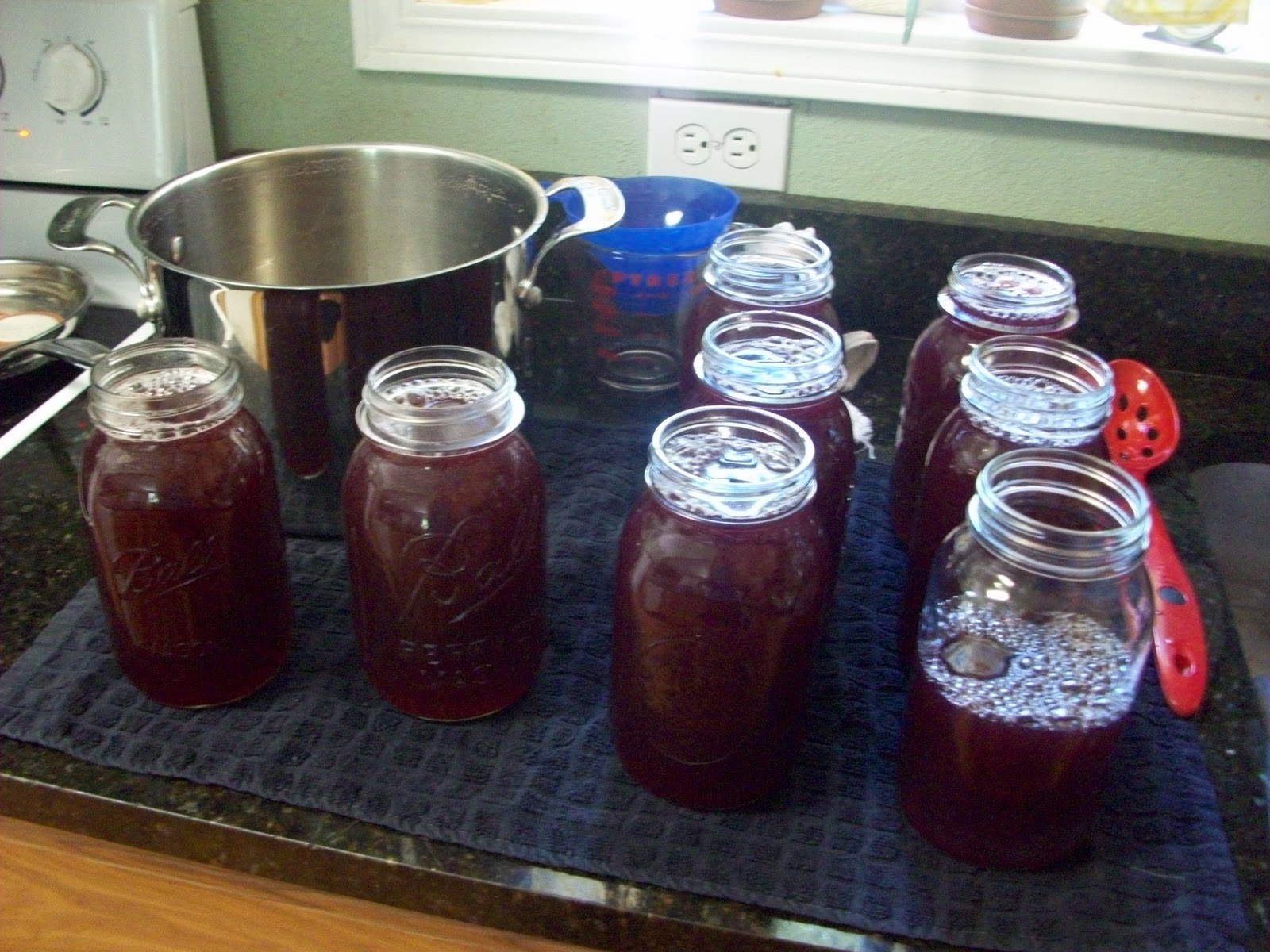 Homestead Roots Canning Grape Juice Step by Step with Pics