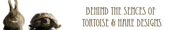 Behind the Scenes of Tortoise and Hare Designs