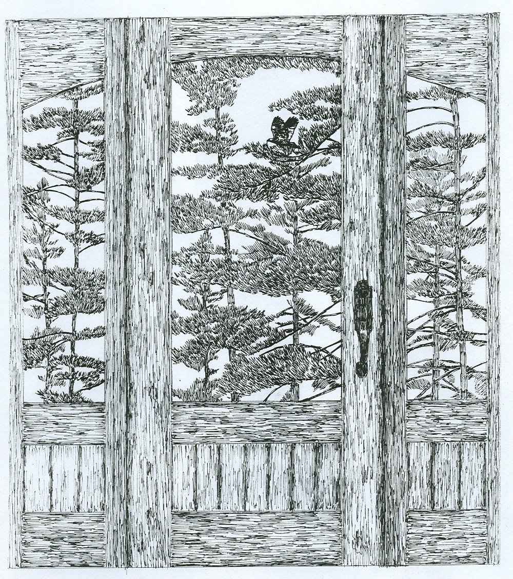 [3-21-08+drawing+2.JPG]
