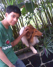 My Photo