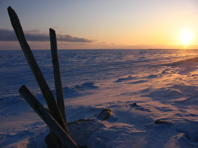 Norton Sound, frozen, at sunset
