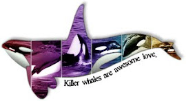 Orca lover