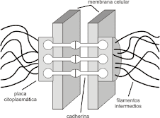 Estructuras para interpretar