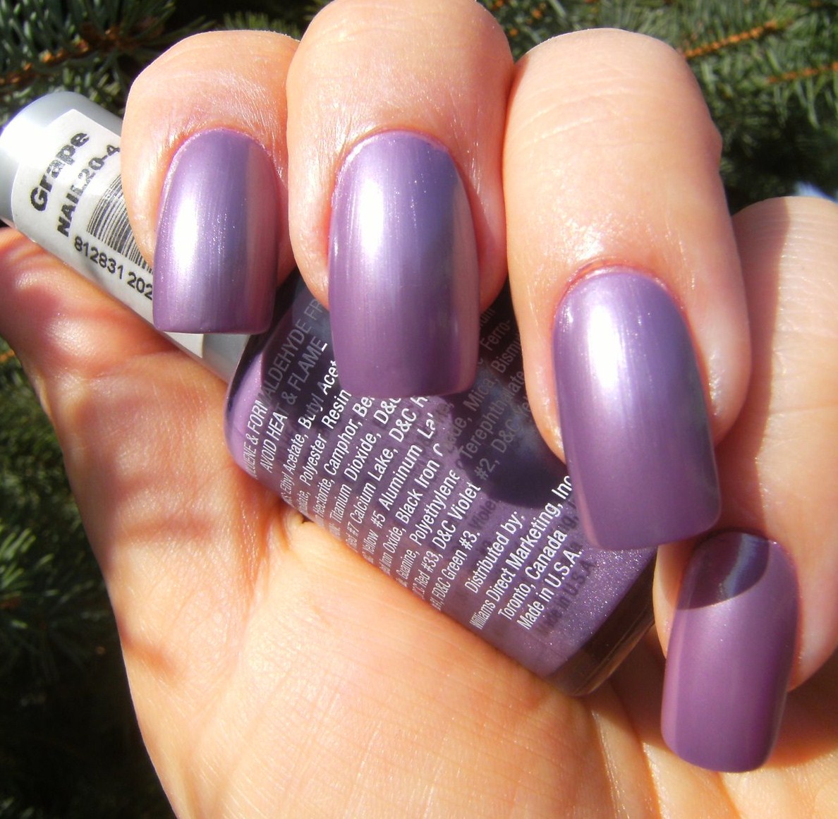 [BILLIE+GRAPE+(3).JPG]