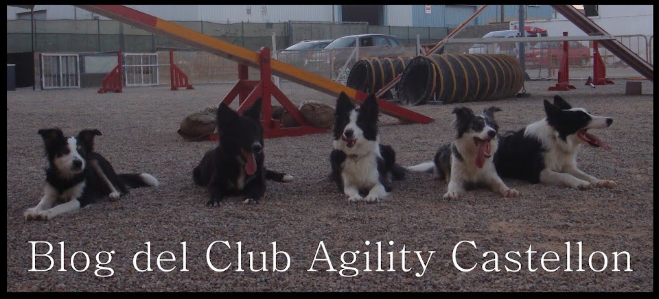Club de Agility Castellon