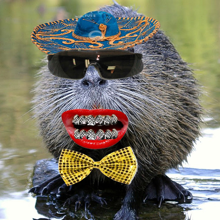 Crazy Critter