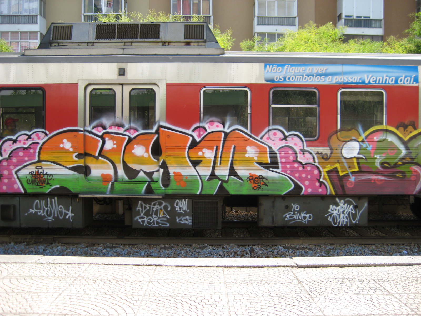 [IMG_0014.JPG]