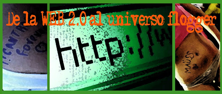 investigación social fotologs