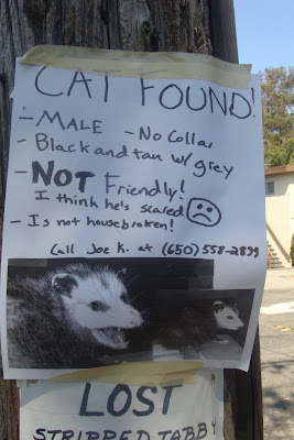 Lost Possum Poster