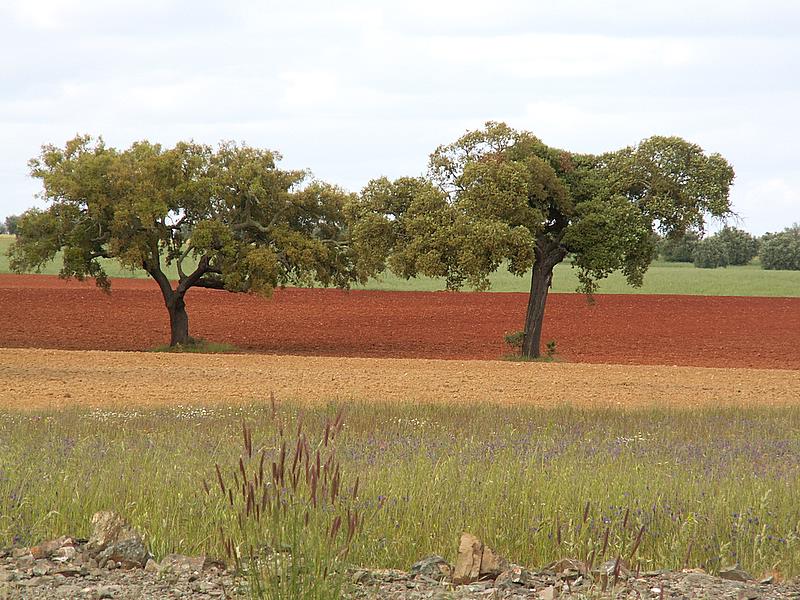[Alentejo.JPG]