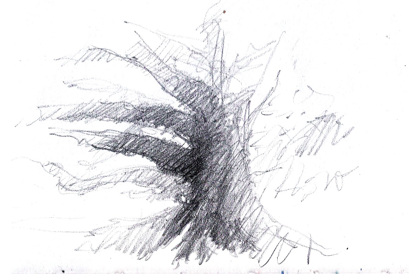 tree trunk and roots template trunk tree roots sketch templates tree trunk and roots template trunk tree roots sketch templates