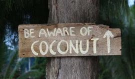 [Image: coconut-sign.jpg]