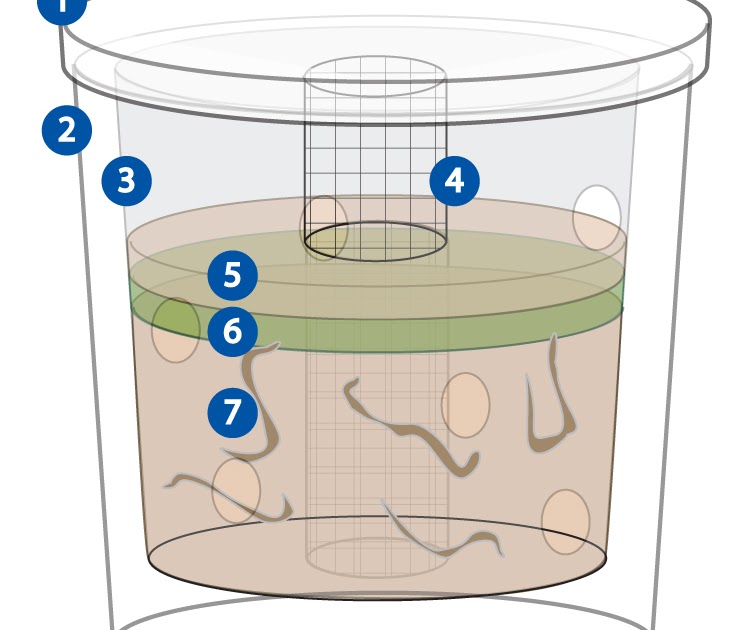 Savor Culture Bucket