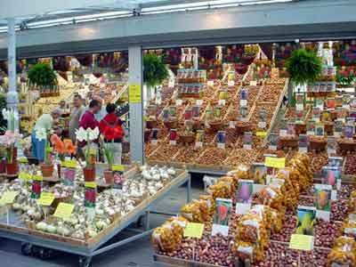 Flower Market Pictures