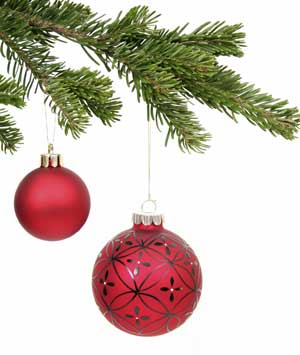 [ChristmasTreeCare300x355.jpg]