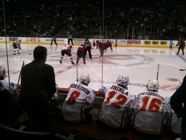 Wild Tickets
