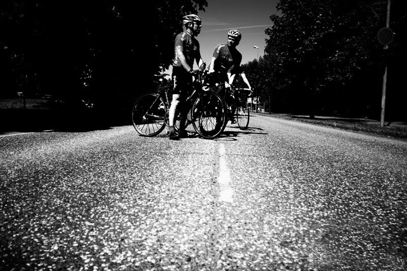 [_MG_6533+copy.jpg]