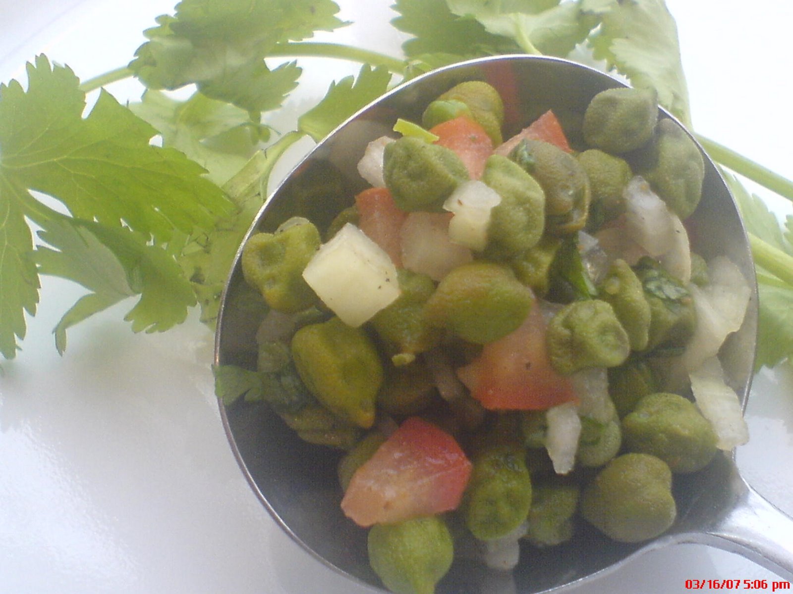 [DSC00086.JPG]