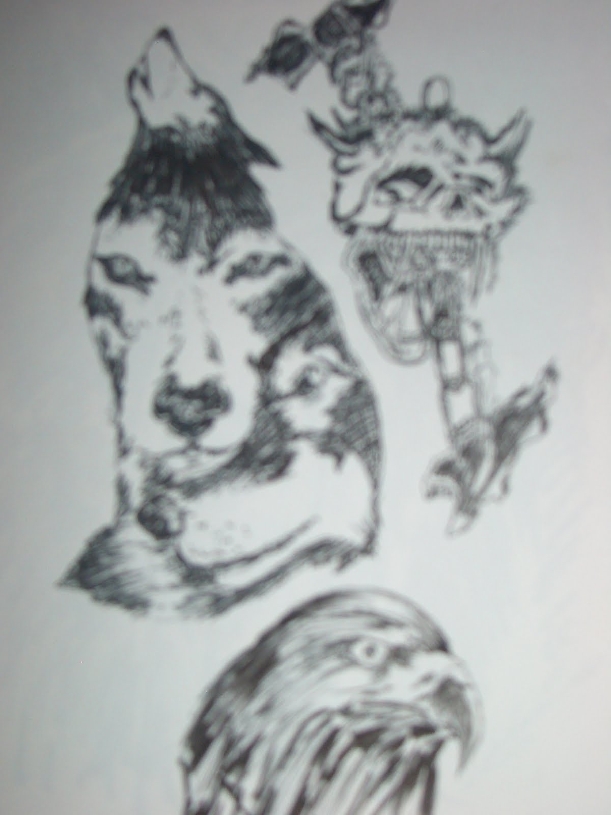 [CIMG0943.JPG]