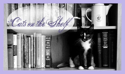 Cats On The Shelf