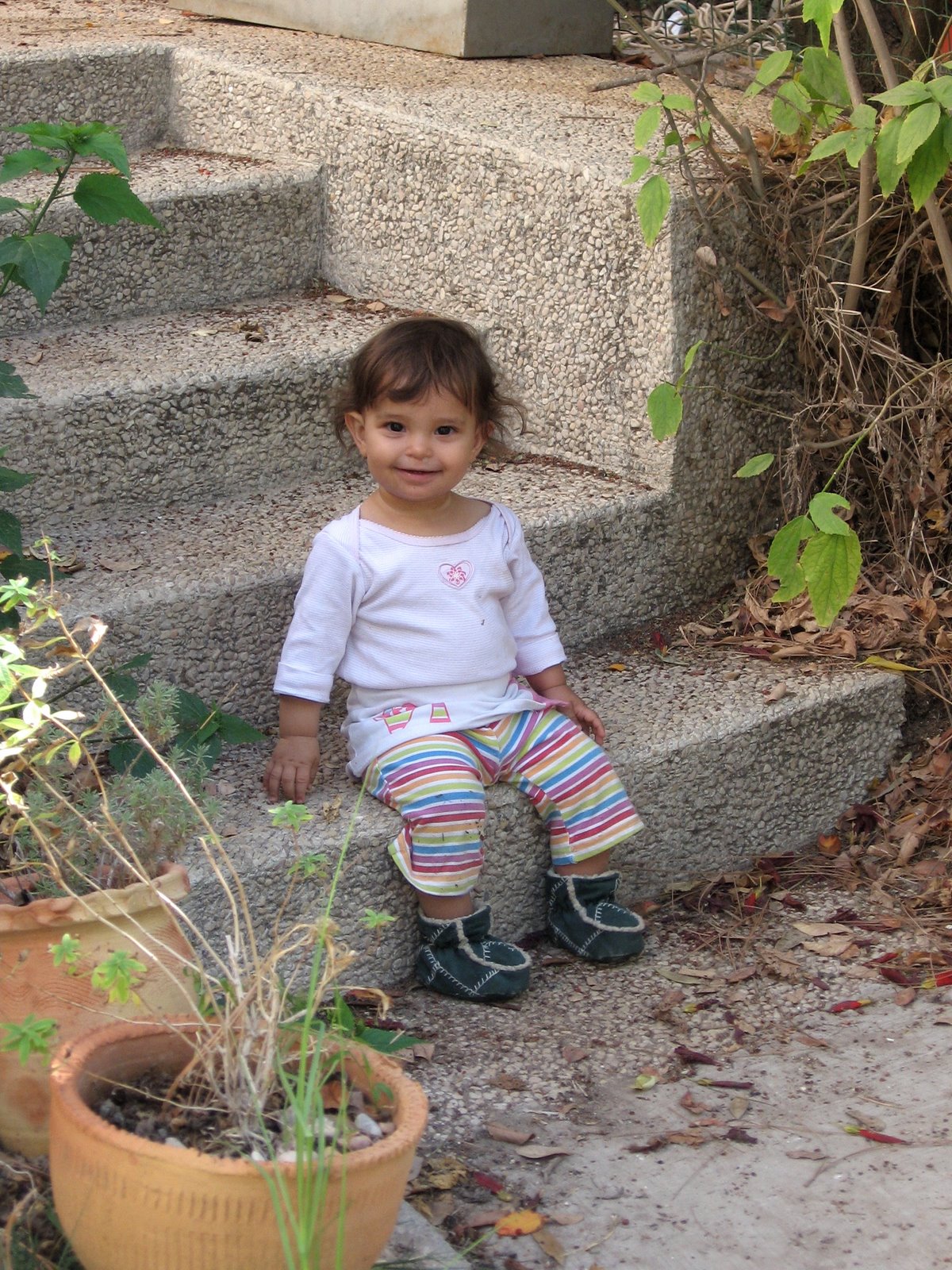 [IMG_0977.JPG]