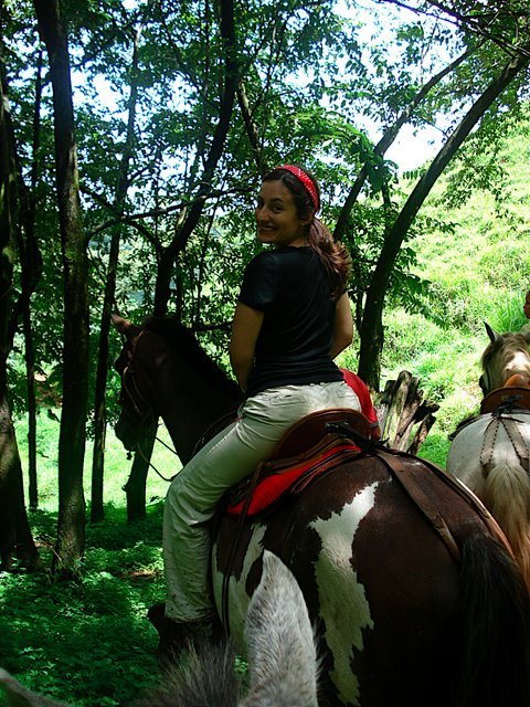 [on+horse.JPG]
