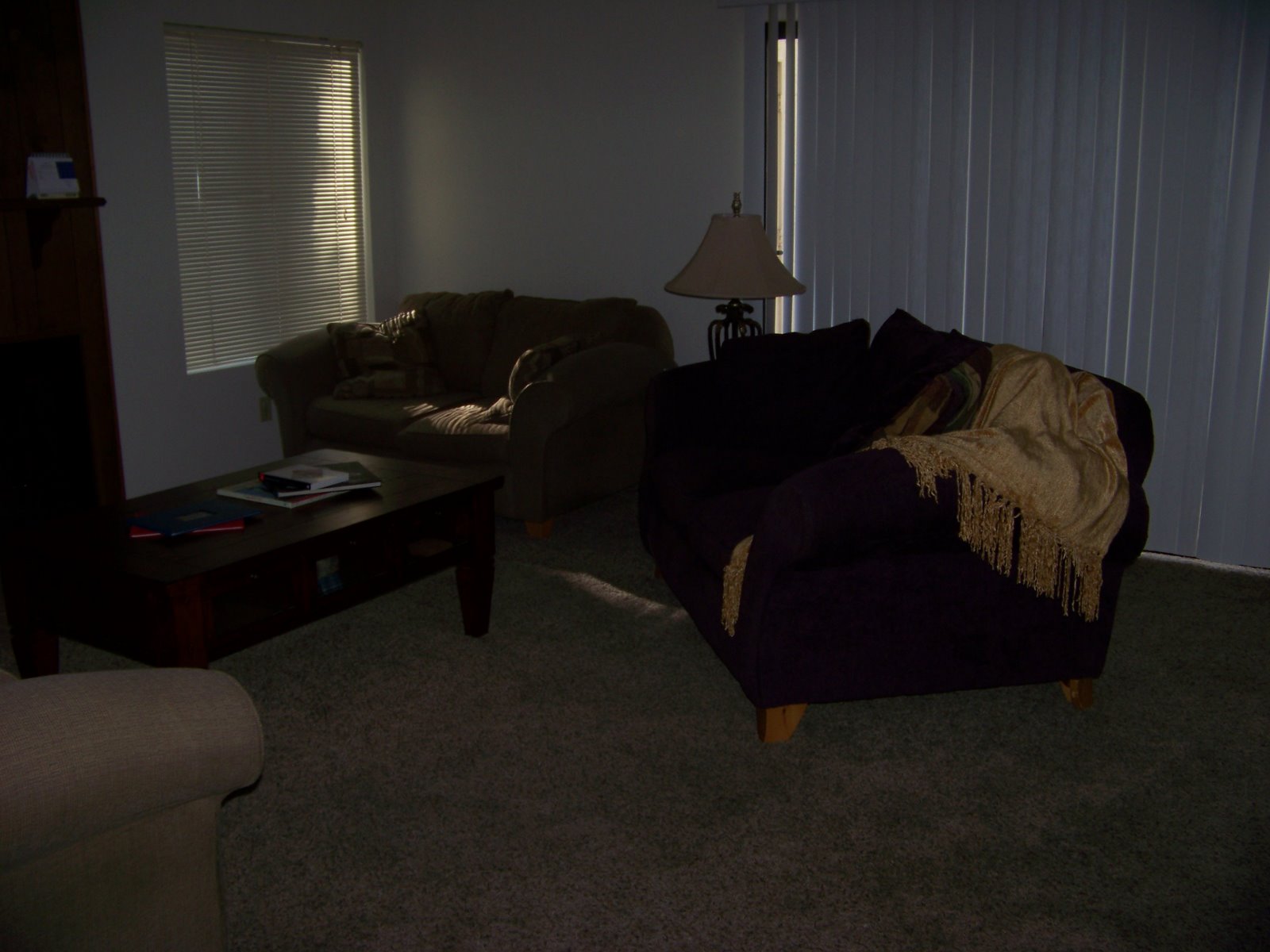 [100_0833.JPG]