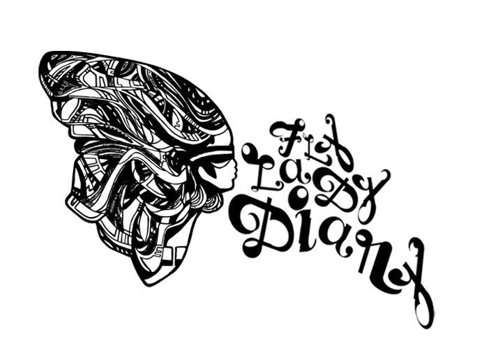 FLY LADY DIary