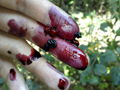 Ink Berries