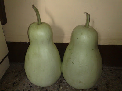 Dudhi or Bottle Gourd or Lauki - Dudhi or Bottle Gourd - transformation to Dudhi Halwa, Yummy